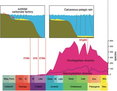 Triassic Revolution